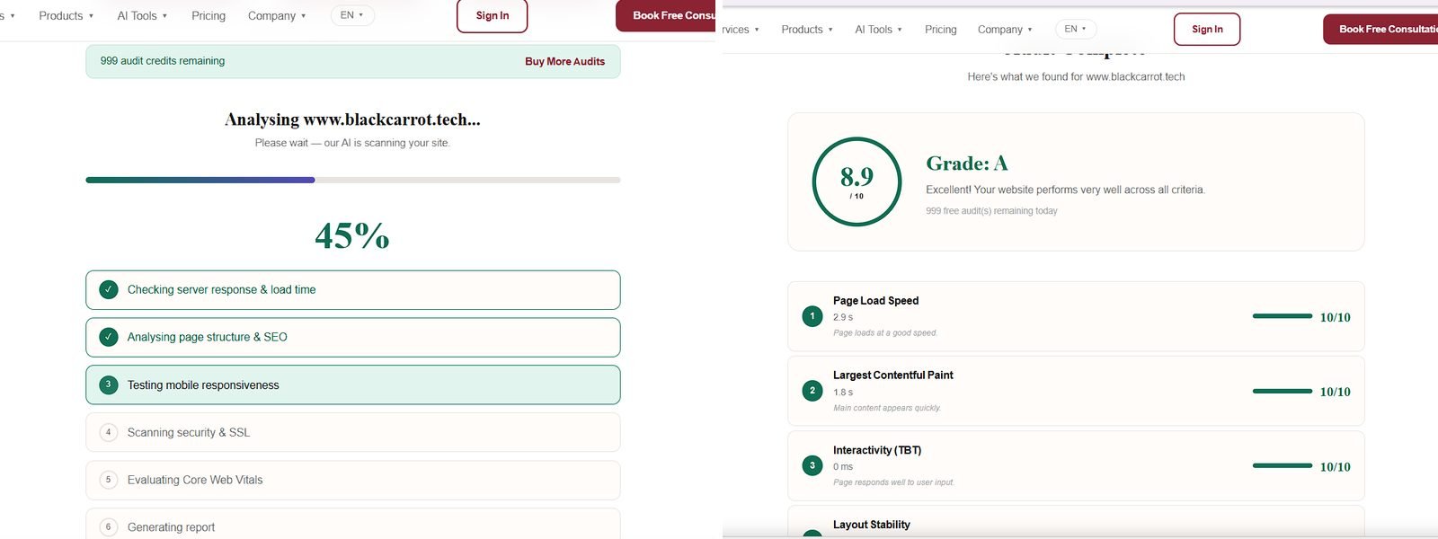 Blackcarrot Tech AI Website Audit — live scan and final grade